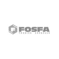 logo_bn_0005_fosfa-big